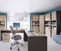 Black Red White Executive-hylly 2D1S/22/6 -NORE Kalusteet Myymälä executive hylly 2d1s226 113f4 netistai reference