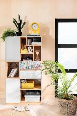 Black Red White Hylly BRW Nandu 2D2S, Harmaa / Pinkki -NORE Kalusteet Myymälä hylly brw nandu 2d2s harmaa pinkki dd995 palaute reference