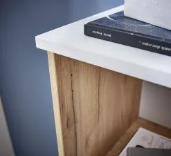 Germania Hylly Lioni 4195, Valkoinen/ruskea -NORE Kalusteet Myymälä hylly lioni 4195 valkoinenruskea 1f2d6 osta reference