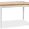 Signal Meble Pöytä Adam DLB, 60x100 Cm, Tammi/valkoinen