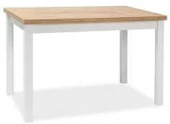 Signal Meble Pöytä Adam DLB, 60x100 Cm, Tammi/valkoinen