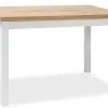 Signal Meble Pöytä Adam DLB, 68x120 Cm, Tammi/valkoinen Väri
