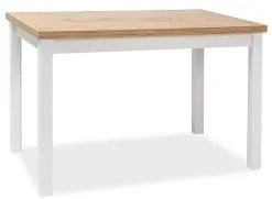 Signal Meble Pöytä Adam DLB, 68x120 Cm, Tammi/valkoinen Väri