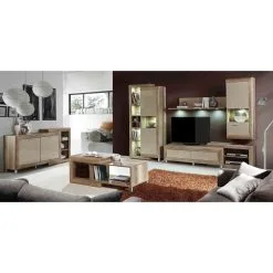 Forte TV -jalusta Genetic, Antiikki Tammi / Beige Kiiltävä. 6 Forte TV -jalusta Genetic, Antiikki Tammi / Beige Kiiltävä. -NORE Kalusteet Myymälä tv jalusta genetic antiikki tammi beige kiiltava e646a netistai reference