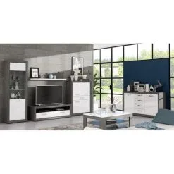 Forte Vitriinikaappi Lennox, Tummanharmaa/valkoinen Kiiltävä -NORE Kalusteet Myymälä vitriinikaappi lennox tummanharmaavalkoinen kiiltava 6b4da reference